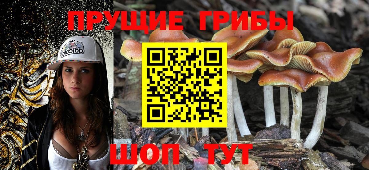 Галлюциногенные грибы мицелий Советский